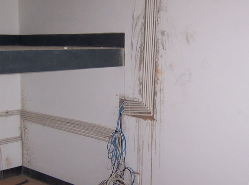 综合布线系统工程 从品牌选型、方案设计到项目验收的全流程指南